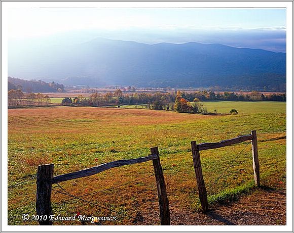 450712   Early morning in Cades Cove